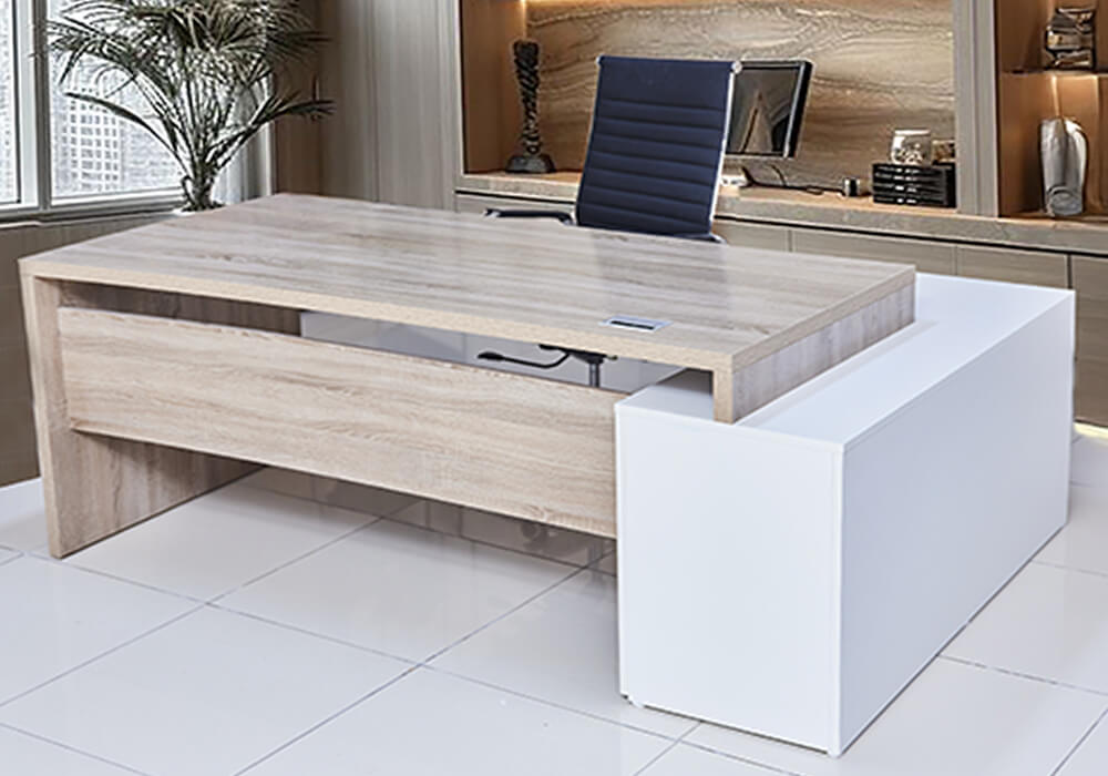 BUREAU RICCI